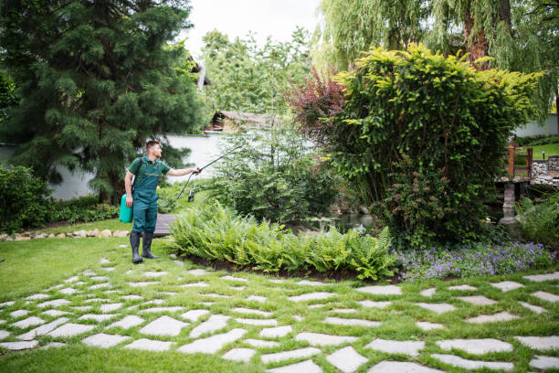 Pest Control Cost in Jackson, MO