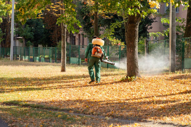 Best Best Pest Control Companies  in Jackson, MO