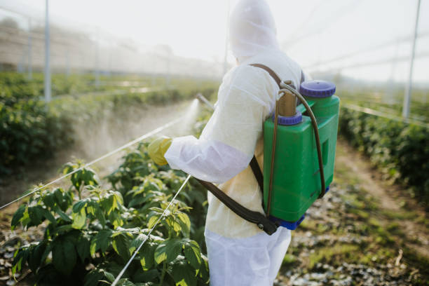 Best Ant Control Services  in Jackson, MO